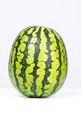 Posiadamy odmianę hybrydową Water Melon Ready to Harvest / Yield