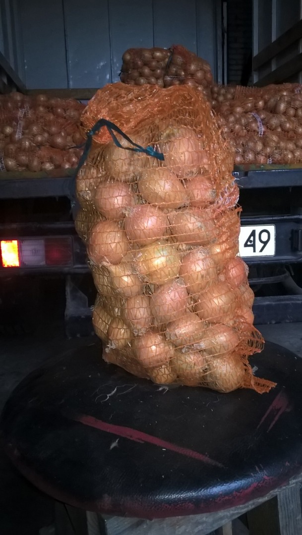 Sprzedam cebulę żółta