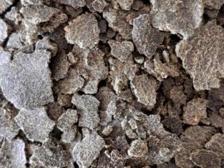 Makuch rzepakowy certyfikowany Makuch rzepakowy certyfikowany z ziarna podwójnie