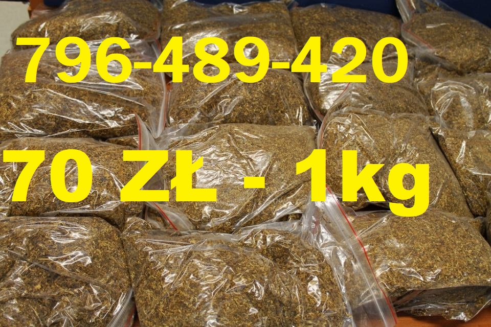 Sprzedam Tani tytoń 70 ZŁ za 1 KG Wysyłka 25 ZŁ Zawsze wysyłkowo Tytoń taki sam jak w sklepie ! Promocja na tani tytoń - zamów 5 kg tytoniu otrzymasz darmową