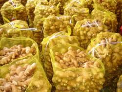 Nazwa produktu: ŚWIEŻY IMBIR Waga / Rozmiar: 100g-150g-200g-250g-300g w górę Czas dostawy: Przez cały rok Temperatura: 12-13 stopni Długi okres przydatności do