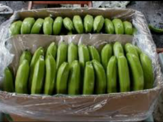 Banan w pudełkach ważących 19.5 kg po 2.9 zł