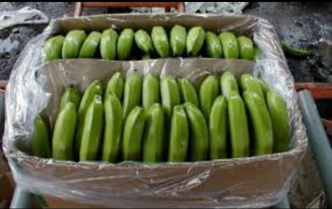 Banan w pudełkach ważących 19.5 kg po 2.9 zł za kilogram