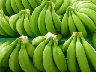 FRESH SWEET CAVENDISH BANANAS FOR SALE/Organic Natural Green Cavendish