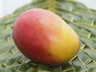 high quality Fresh mango please contact directly, What'sapp: email