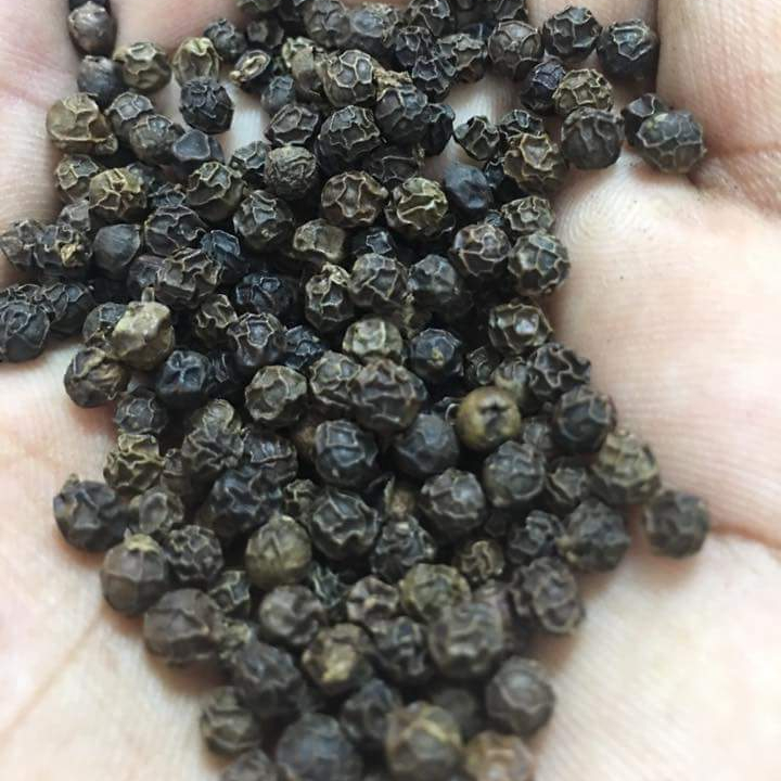 Best Quality Natural Black Pepper Please contact directly, Email