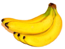 We are the prime Fresh Banana exporter and supplier