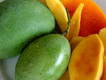 Fresh Mango Mango is king of fruits and we are No 1 fresh mango suppliers and fresh mangoes exporter in Thailand