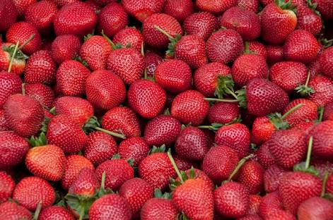 Świeży wodny melon i truskawki z gospodarstwa w przystępnych cenach
