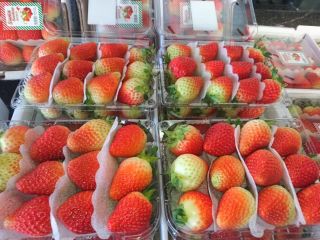 Dear Sir/Madam Procom is a major supplier of agricultural