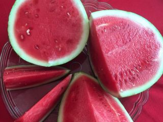 The watermelon (Citrullus lanatus) is a large, sweet fruit