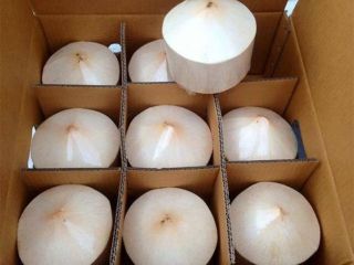 TYPE: Green Coconut, Top Cut Coconut, Diamond Coconut, Polished