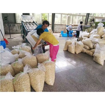 cashew nuts for sale please contact directly, What'sapp: email
