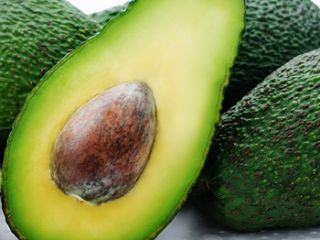 Agriculture Fresh Avocado in Avocados Organic Hass Avocado for