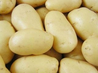 excellent quality fresh potato price cheap please contact directly,
