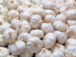 natural organic garlic please contact directly, What'sapp: email
