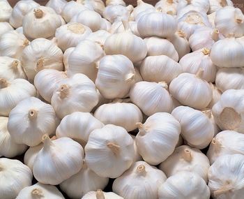 natural organic garlic please contact directly, What'sapp: email