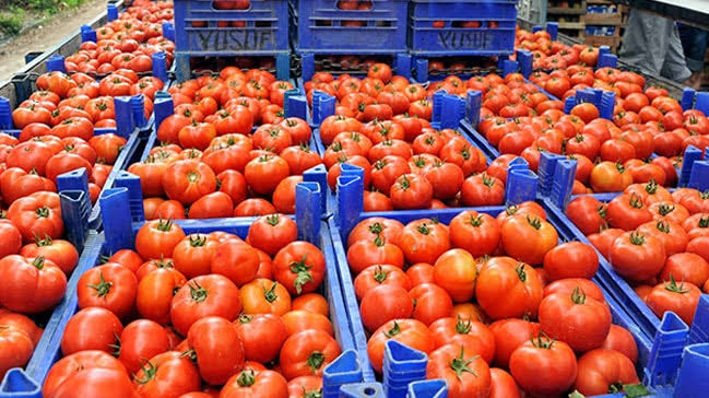Zostaliśmy sprzedaży owoców i warzyw z Turcji