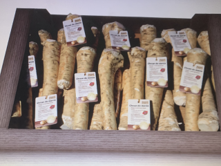 Chrzan - 2,45 euro za kilogram - tylko duża