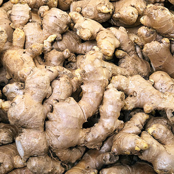 New Crop Fresh Ginger Vegetable please contact directly, What'sapp