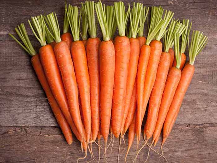 Sweet Carrot with Good Quality and Price for Exporting Sweet Carrot with Good Quality and Price for Exporting please contact directly, What'sapp