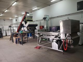 Witam serdecznie posiadamy maszyny do sortowania czosnku , borówki