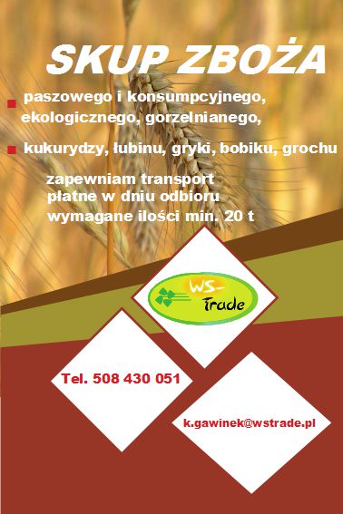 Kupię żyto, owies, jęczmień i inne zboża