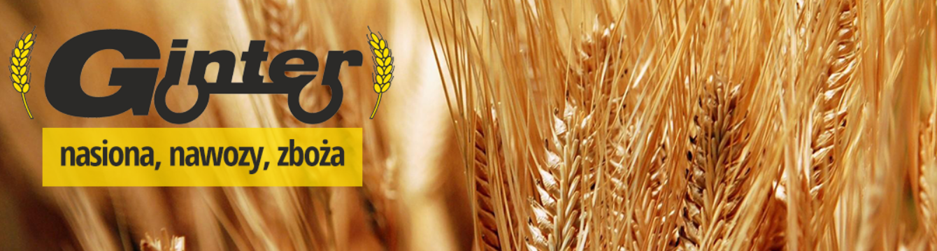 PPHU Ginter zakontraktuje rzepak na żniwa 2020