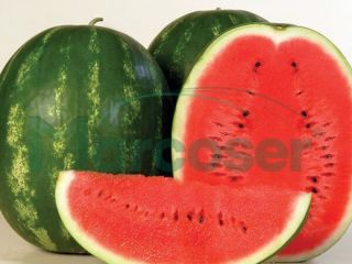 Vand Melon Soi Karistan. Aby uzyskać szczegółowe informacje, skontaktuj