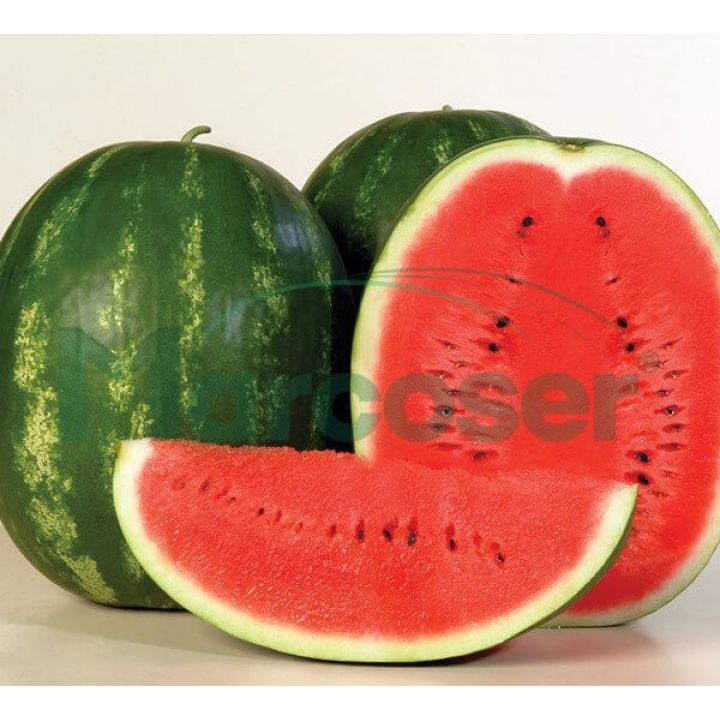 Vand Melon Soi Karistan