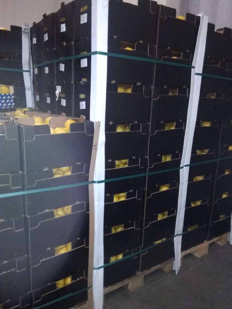 Na sprzedaż cytryna Verna, 1 klasa około 20 ton