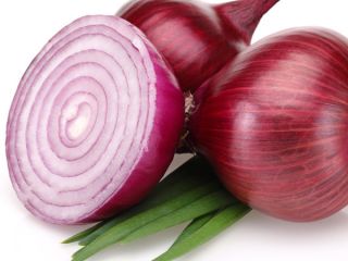 Hot sale 2019 harvest quality Chinese vegetable hybrid red
