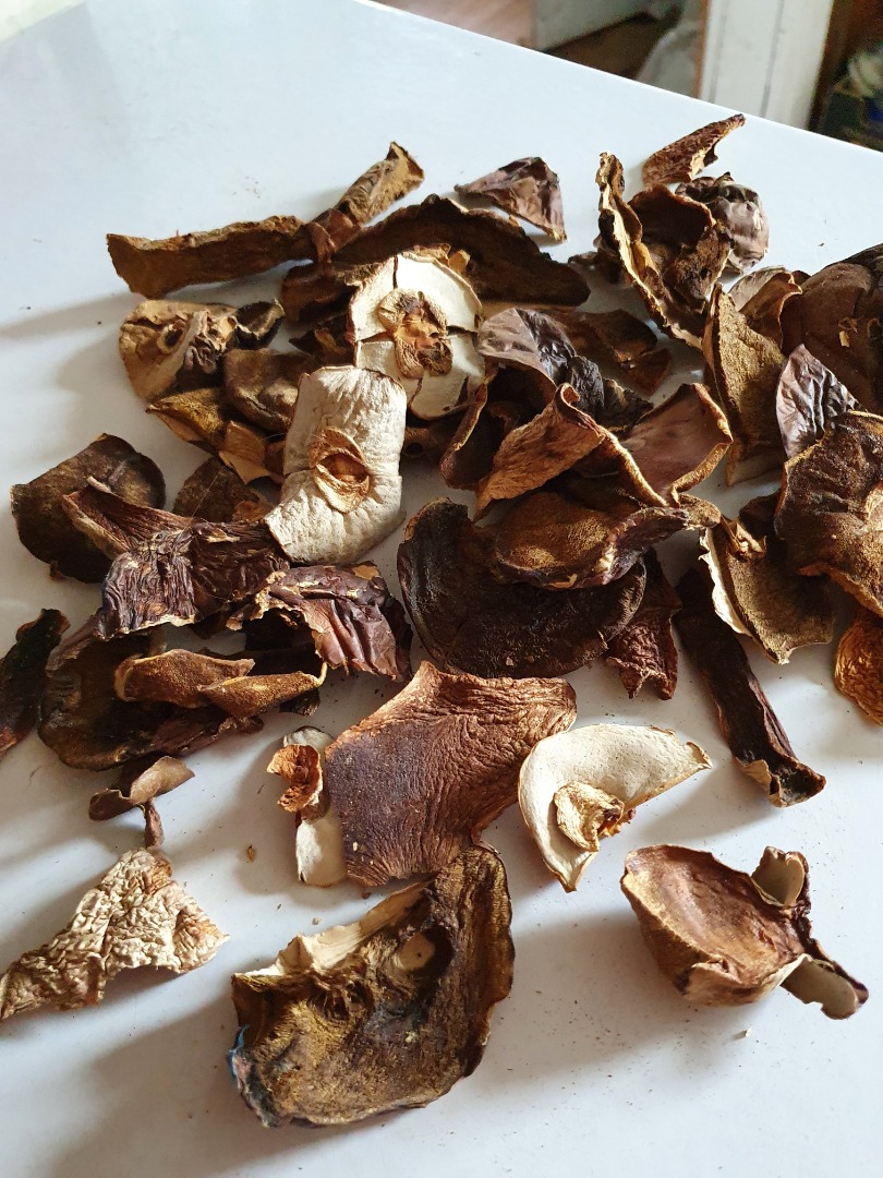 Borowik suszony, krojony, 2019r, ekologiczny, 5 kg