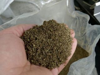 około 5 ton Ekologicznego kwiatostanu Konopi Sativa L odmiana