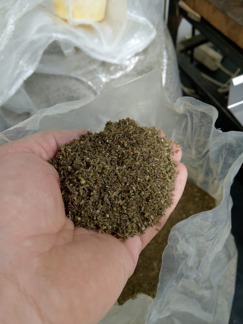 około 5 ton Ekologicznego kwiatostanu Konopi Sativa L odmiana Fibrol79 THC