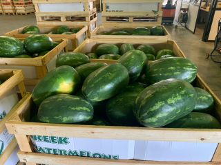 Bezpośrednie dostawy arbuzów i melonów z Grecji! Będziemy zadowoleni