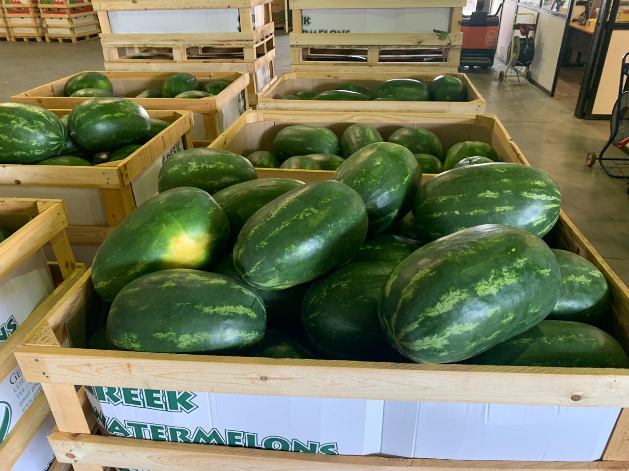 Bezpośrednie dostawy arbuzów i melonów z Grecji! Będziemy zadowoleni ze współpracy