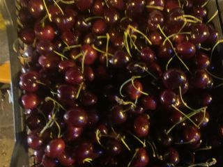 Mam do sprzedani grecka czereśnie 26+ kaliber codziennie są