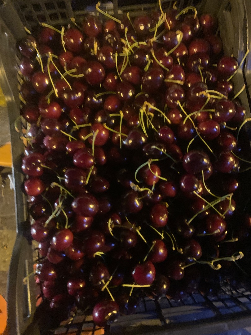 Mam do sprzedani grecka czereśnie 26+ kaliber codziennie są dostawy z Grecji,pakowane są w kartonowe,plastikowe oraz drewniane pudełka.Na stanie mamy 50 ton