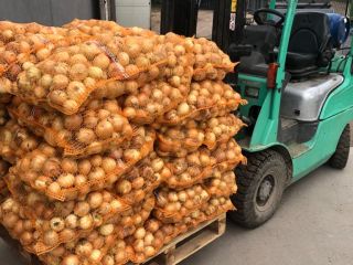 Sprzedajemy młodą cebulę - import z Uzbekistanu. Kaliber 5+.