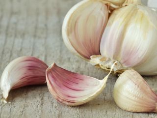 Najlepsza cena świeżego czosnku naturalnego - Nowa uprawa, gorąca