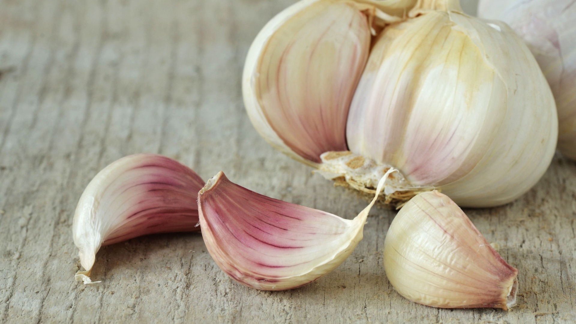 Najlepsza cena świeżego czosnku naturalnego - Nowa uprawa, gorąca wyprzedaż Pakowanie w 10 kg / karton, worek 10 kg / siatkę, worek 20 kg / siatkę lub