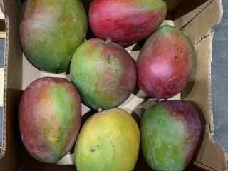 MANGO sprzedam detal/hurt. Możliwy dowóz ilość/miejsca/ dzień tygodnia. Karton