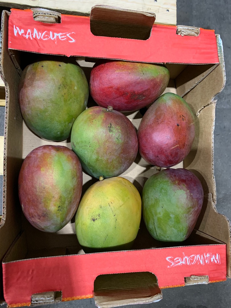 MANGO sprzedam detal/hurt