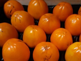 Hiszpański producent sprzedaje POMARAŃCZE, TANGERINY, WATERMELONY, WCZESNE ZIEMNIAKI, WARZYWA,