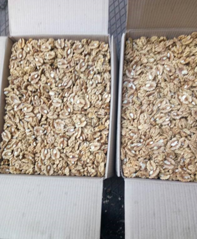 Sprzedam orzech Włoski łuskany sprzedam również mix 30% cena 21 netto
