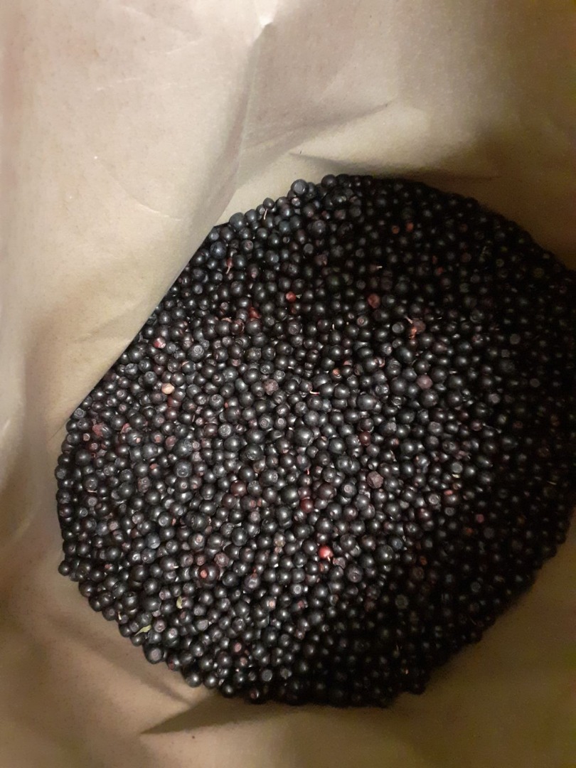 Sprzedam mrożoną, oczyszczoną - czarną jagodę leśną z Białorusi w opakowaniach papierowych po 25 kg