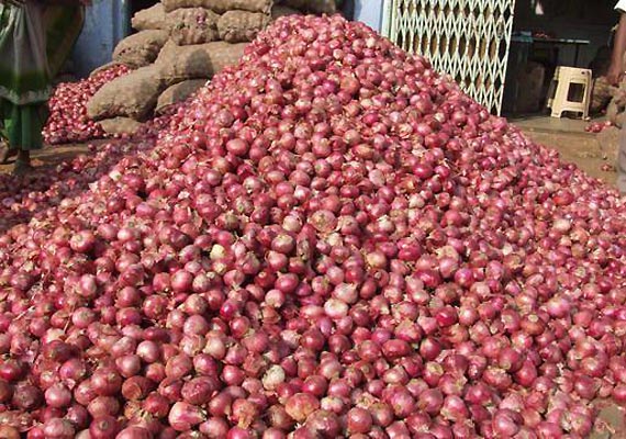 we offer onions Origin: Denmark please contact directly, ,call: email: wechat:omarkjerry0