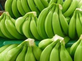 Typ produktu: Świeży zielony kawendyjski banan Oryginalne miejsce: Kamerun,