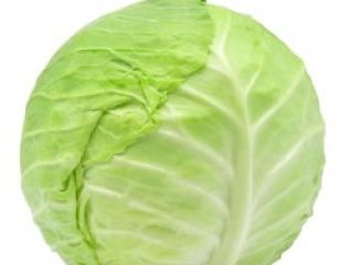 jestem z Kosowej jestem plantatorem i handlarzem warzyw i